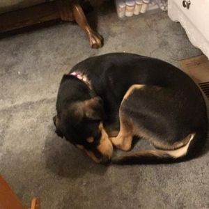 Meet your Posher, Debra